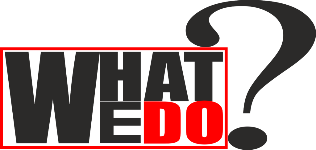 WHAT WE DO 2